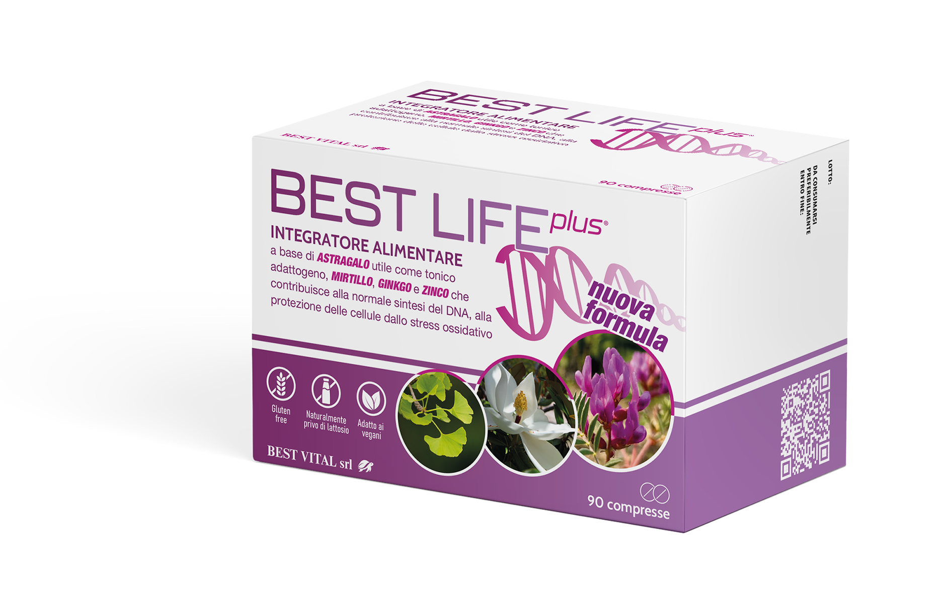 BEST LIFE PLUS home
